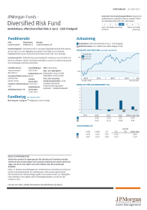 Diversified Risk Fund