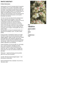 139,00 kr - Aroma Creative