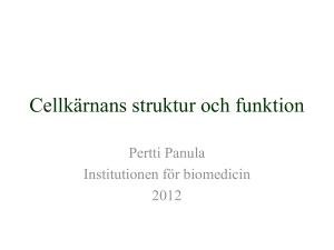 Ei dian otsikkoa
