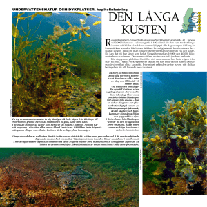 DEN LÅNGA KUSTEN