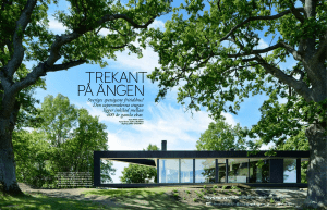trekant på ängen