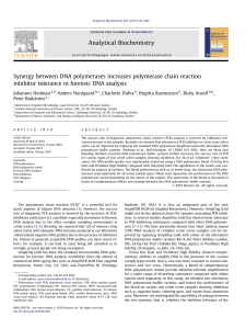 Synergy between DNA polymerases increases