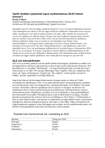 Varför drabbar systemisk lupus erythematosus (SLE) främst kvinnor