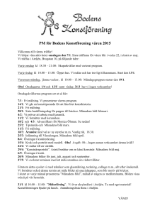 PM för Bodens Konstförening våren 2015