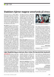 Stadsbors hjärnor reagerar annorlunda på stress