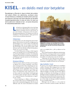 KISEL – en doldis med stor betydelse
