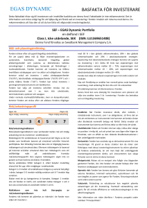 EGAS DYNAMIC