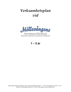 Verksamhetsplan förskolan - Möllevångens Montessoriförskola