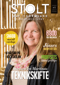 Proffsets - Visit Sörmland