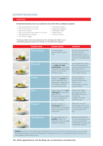 KONSISTENSGUIDE