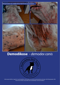 Informasjonshefte om Demodikose - demodex