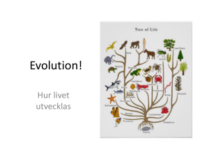 Evolution!