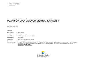 plan för lika villkor vid huv-kansliet