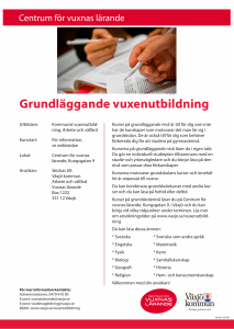 Grundläggande vuxenutbildning