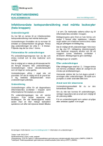 hela kroppen