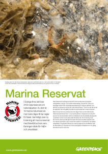 Marina Reservat