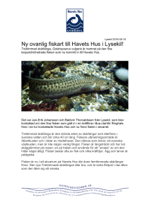 Lysekil 2016-05-16