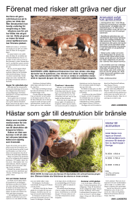 Förenat med risker att gräva ner djur