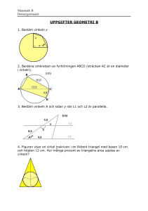 UPPGIFTER GEOMETRI B