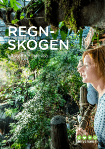Fakta om Regnskogen
