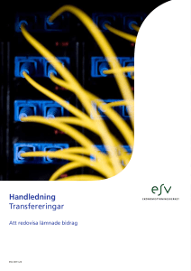 Handledning Transfereringar
