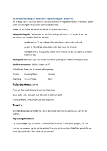 Polartrakter:Sid 78