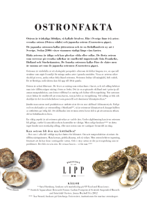 ostronfakta - Brasserie Lipp