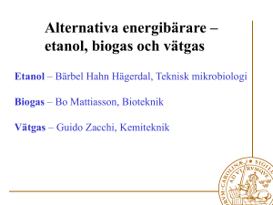 Alternativa energibärare – etanol, biogas och vätgas Problem