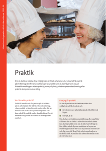 Praktik, faktablad