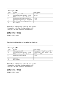 Planering åk 7, Tal