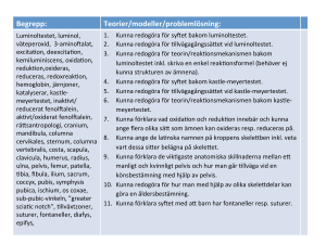 Begrepp: Teorier/modeller/problemlösning