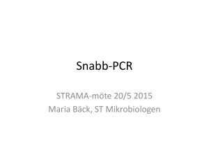 Snabb-PCR