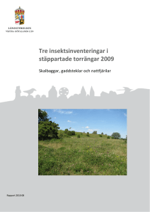 Tre insektsinventeringar i stäppartade torrängar 2009