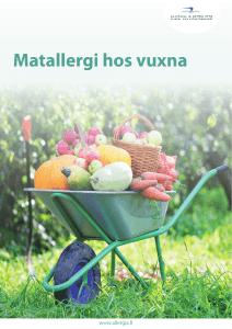 Matallergi hos vuxna - Allergia
