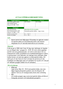 avtal/uppdragsbeskrivning