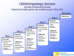 Utbildningsstege domare