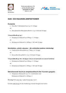 HUD- OCH MJUKDELSINFEKTIONER