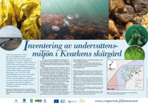 Inventering av undervattens- miljön i Kvarkens skärgård