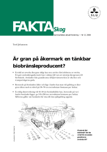 Är gran på åkermark en tänkbar biobränsleproducent?
