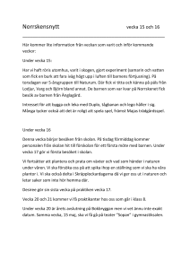 Norrskensnyttvecka 15 och 16