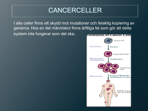 Tumörer och cancerceller