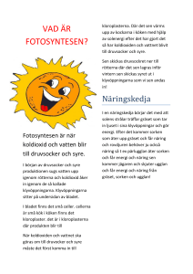 vad är fotosyntesen?