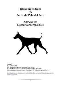 Domarkompendium