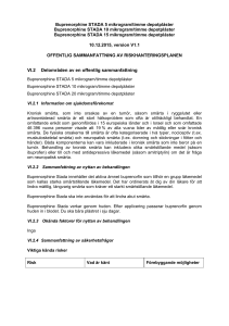 VI.2 Delområden av en offentlig sammanfattning