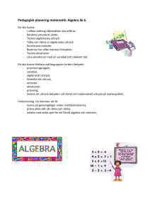 Pedagogisk planering matematik: Algebra åk 6.