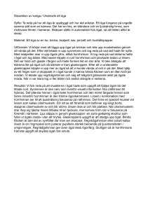 Namnlös 5 - almarangstromsfinbok