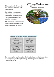 Ett ekosystem är allt levande och den miljö som finns i ett