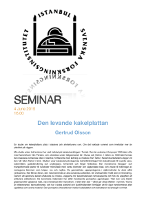 Namnlöst 2