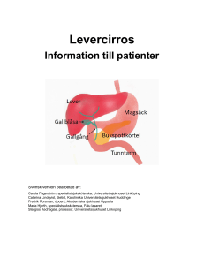 Levercirros