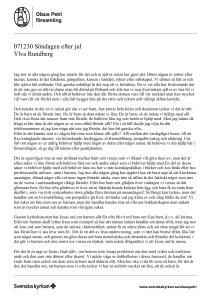 071230 Söndagen efter jul Ylva Rundberg
